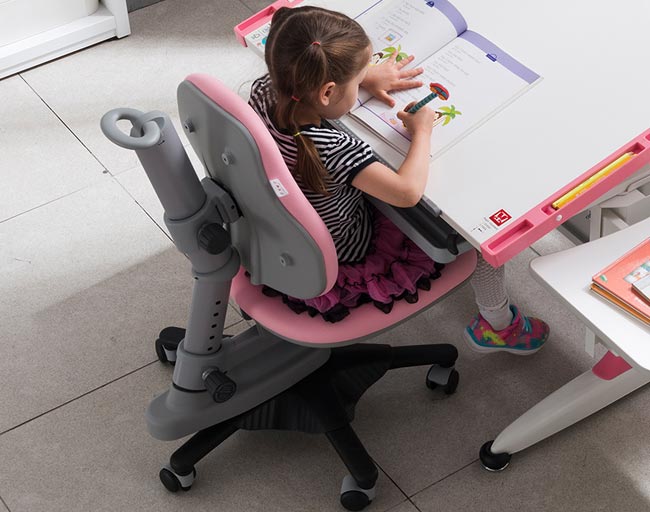 Newton student chair online